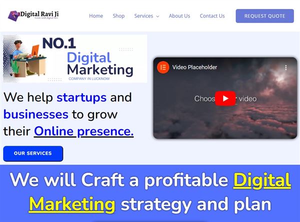 Digital Marketing Consultant- Ravi Karan